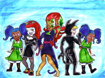 The Xiaolin Chronicles: The Heylin Sisterhood