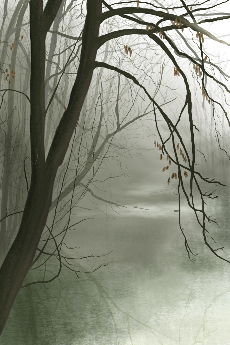 Foggy Creek