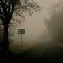 Fog