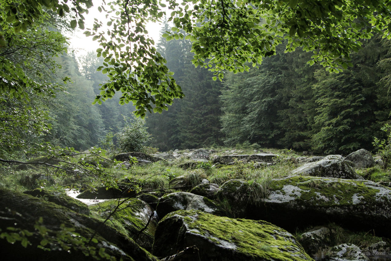 river Jizera