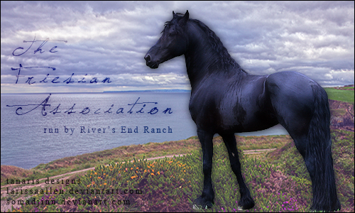 Friesian Assoc. - HP