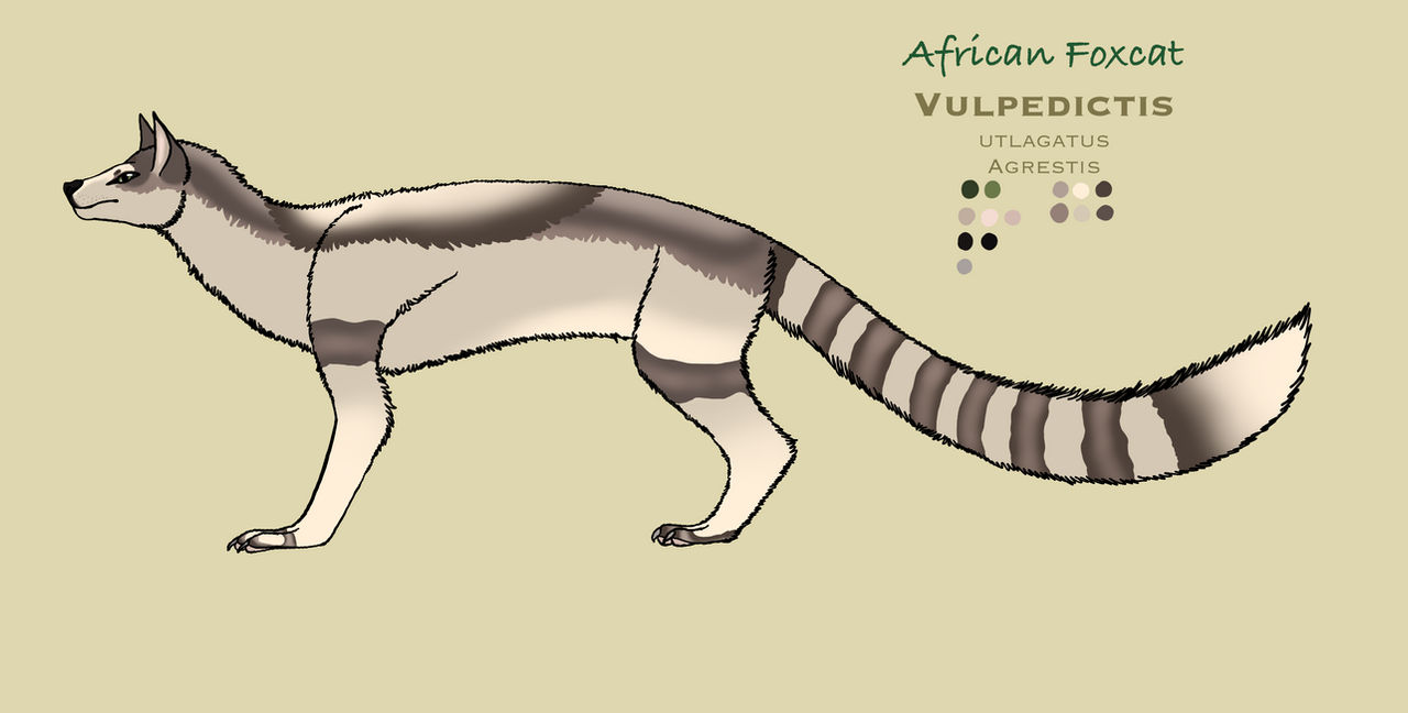 Foxcat by SimemistArt on DeviantArt