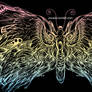 Butterfly Soul