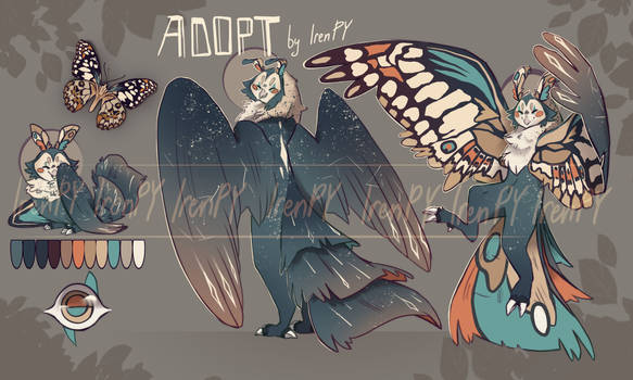 #8 Owl-butterfly ADOPT CLOSED