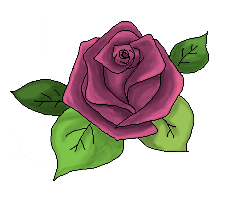 Rose1