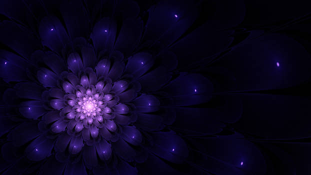 Indigo Flower