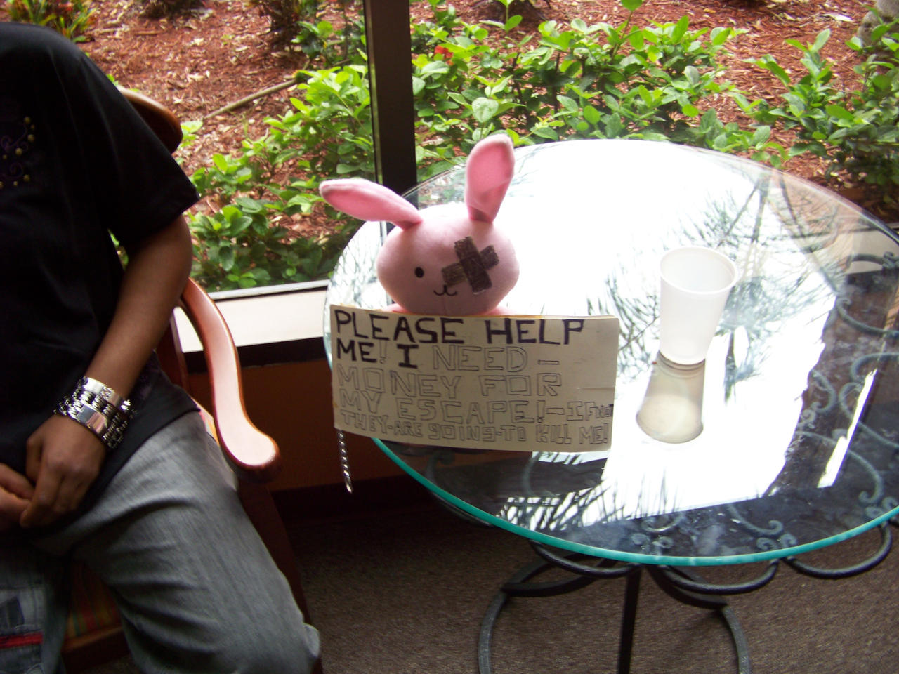 Poor Bunny by AutobotJazz on DeviantArt