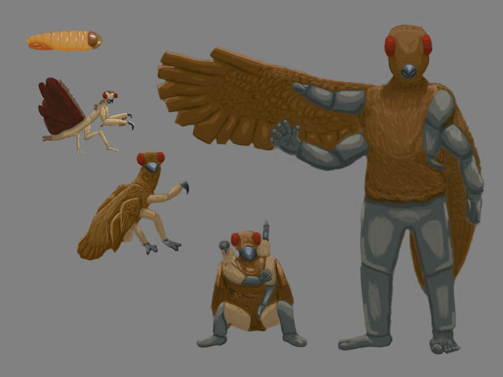 Project Evolution Deviantart Evolution Project by FeelingSkepsis on DeviantArt