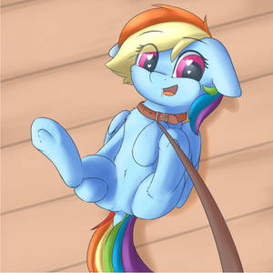 Dashie