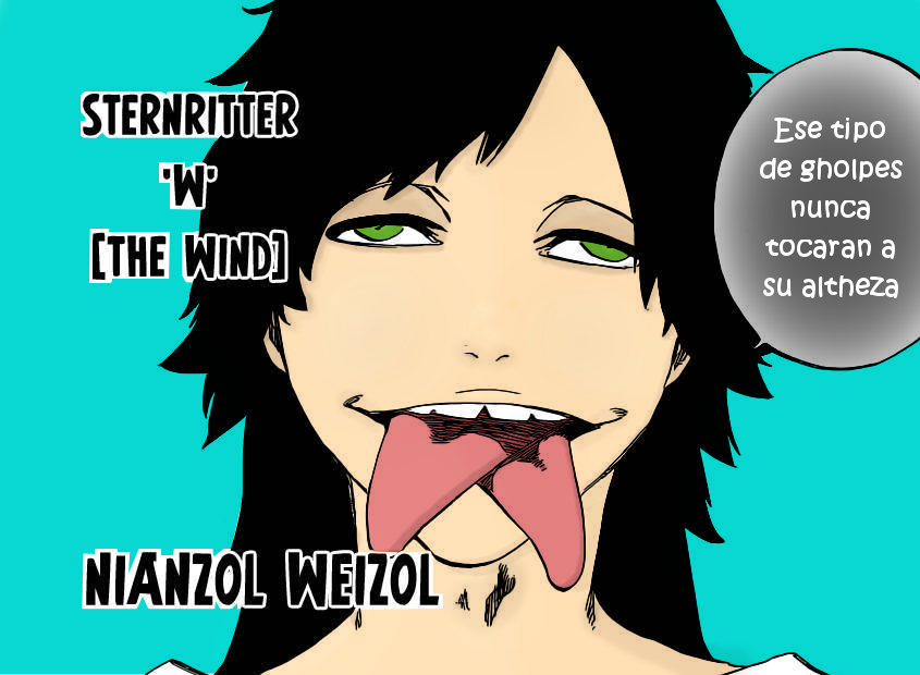 Bleach 597 | Stern ritter W Nianzol Weizol | V.2. by Vizardarrancar on ...