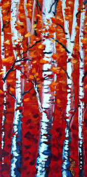 Birch Trees in Orange