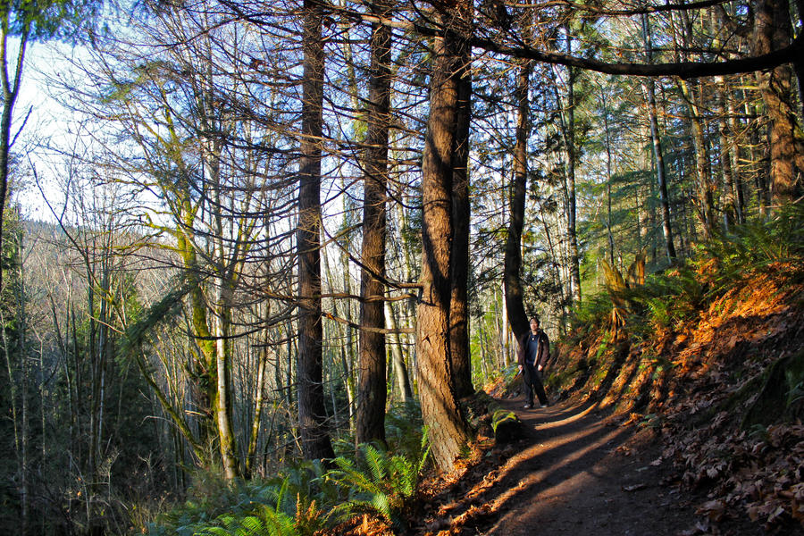 Nature Hike 2 by rstephens12 on DeviantArt