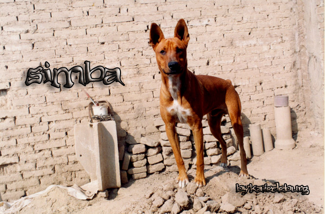 simba 2