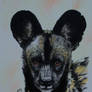 African Wild Dog Zooly Challenge 3