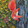 Red squirrel