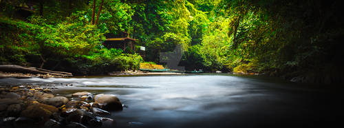 A home in the wilderness