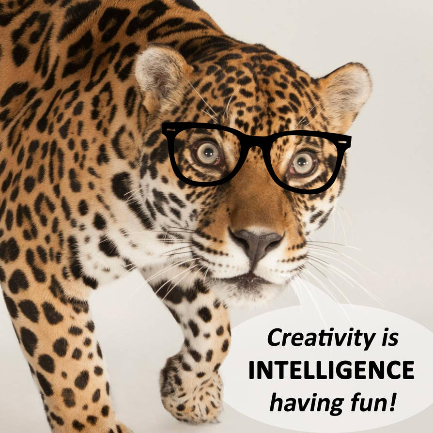 Creativity is INTELLIGENCE having fun!