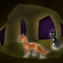 A meeting in starclan