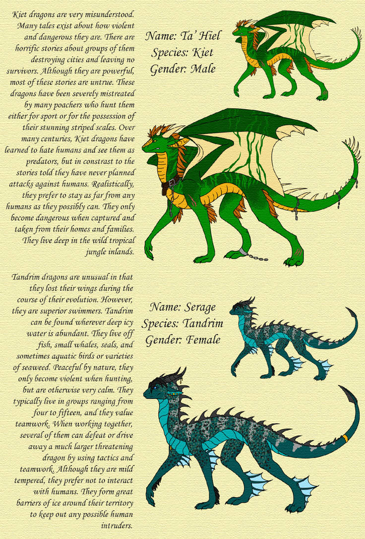 Совместимость знака дракон. Типы драконов. Разновидности драконов и их названия. Драконы и их виды и классификация. Классификация драконов ВИВЕРН.