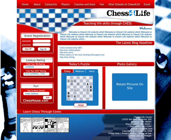 layout for a chess website by pinkgfx on DeviantArt