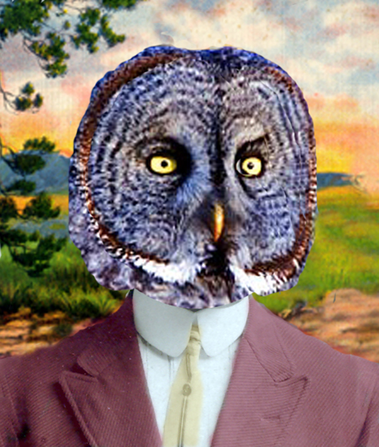 Gentleowl