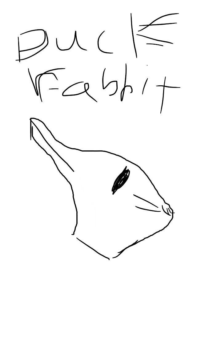 Duck rabbit by bMUDKIPZ on DeviantArt