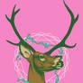 Bubblegum Deer