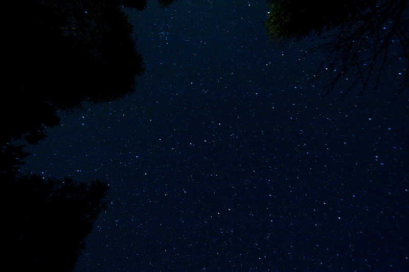 night sky