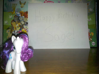 Sage's birthday present.