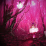 Spying on fairies