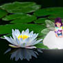 Magic Fairy