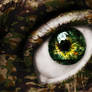 Support the Troops..