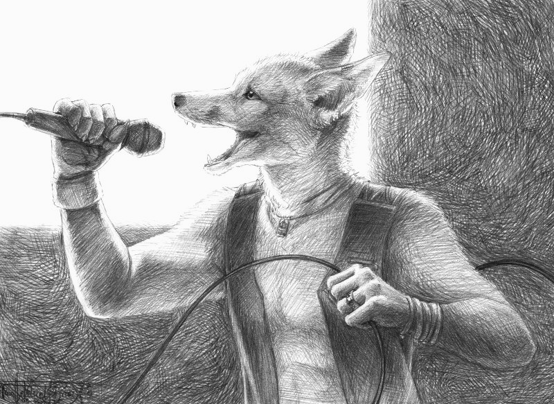 Foxes rock by PanHesekielShiroi