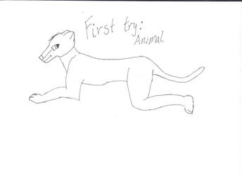 First Try Animal-Pen