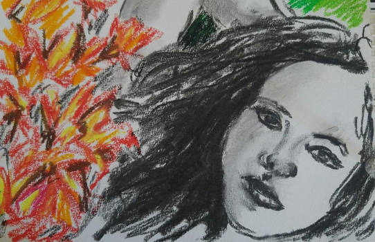 Charcoal and Colour