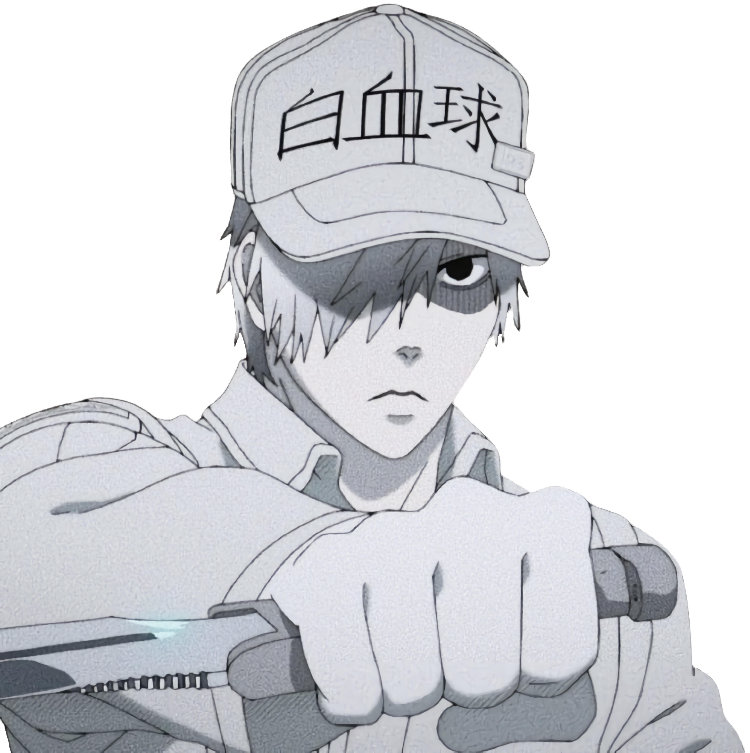 Cells at work, white blood cell, U-1146