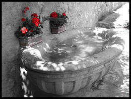 My Fountain Runth Dry