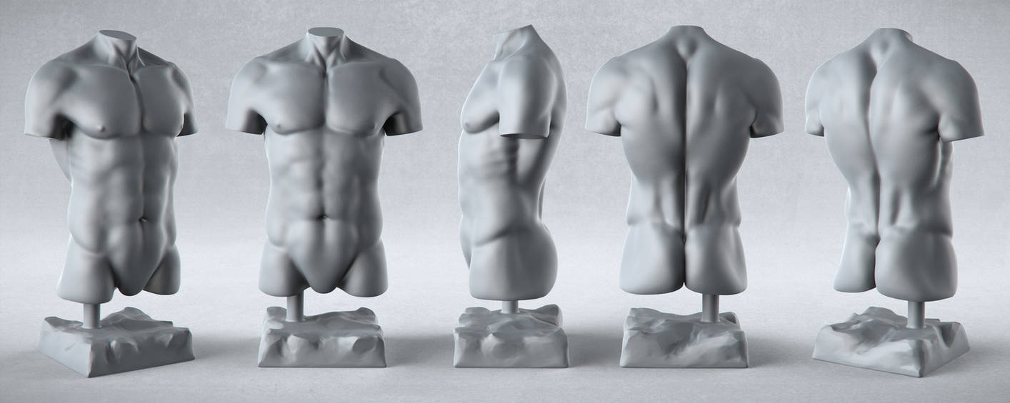 Male Anatomy Studies - Torso by PixelPirate
