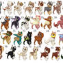 35 Puppy Adopts 5 Points Each