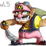 Pirateer Wario