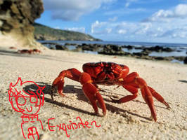 Crabdad