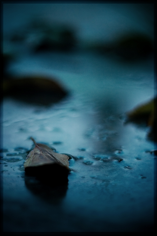 Adrift. by wexotype11