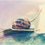 snail.M.a.i.l