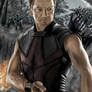 Avengers age of ultron hawkeye