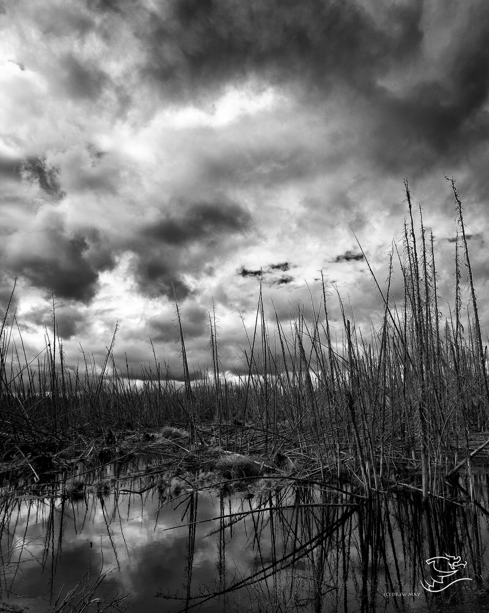 Death on an Alberta Lake