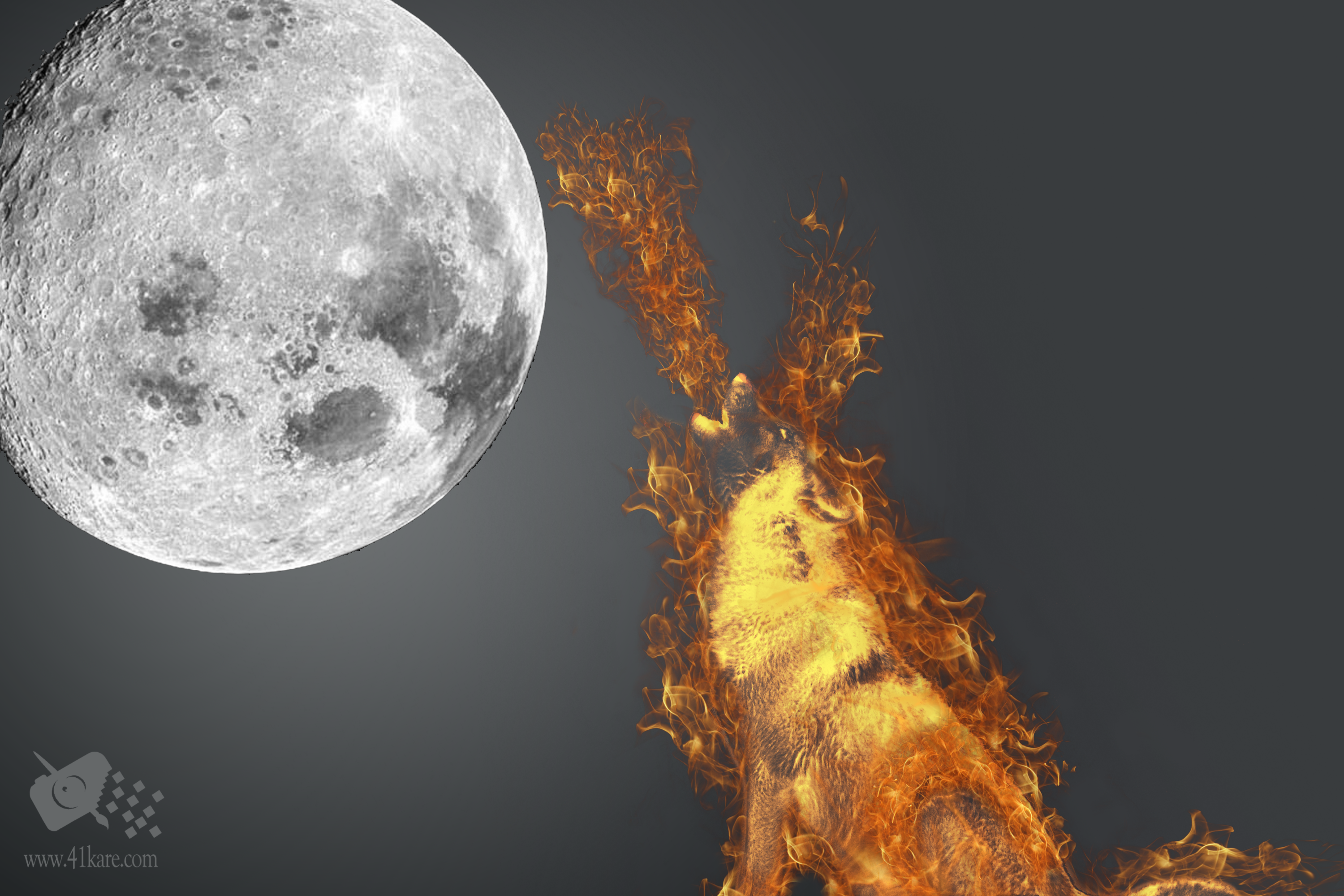 photoshop cs5 te alevli kurt by