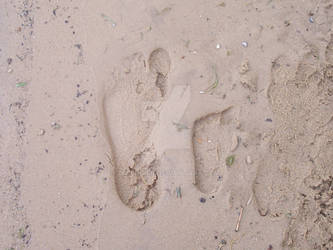 Footprints