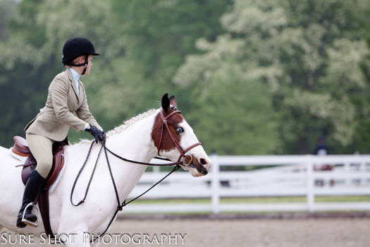 Ferris' Day At a show