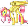 Fluttershy