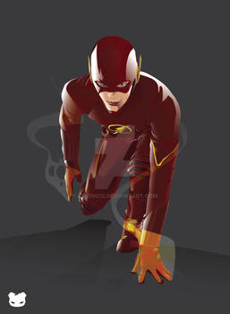 The Flash